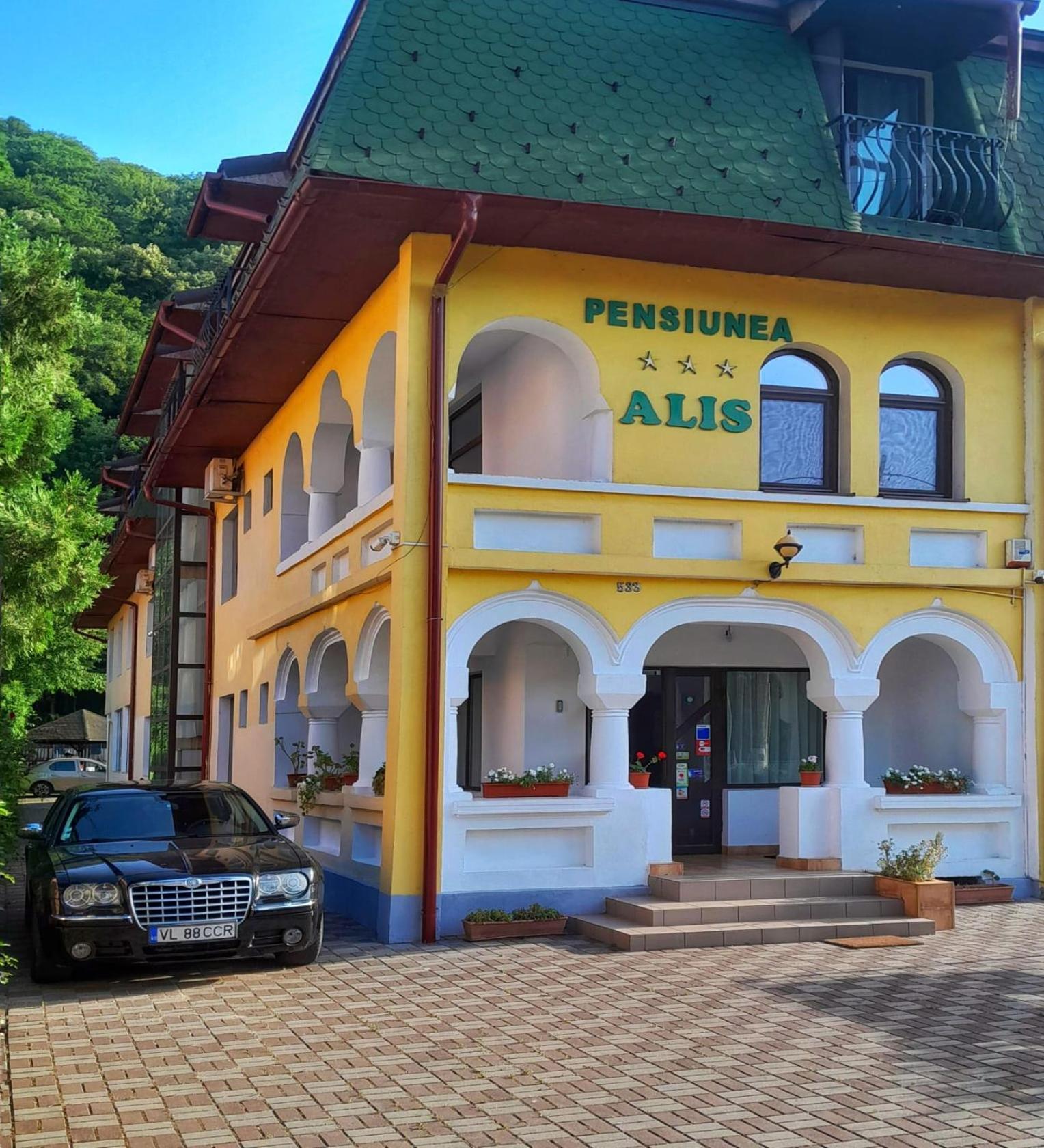 Pensiunea Alis Călimăneşti Exterior foto