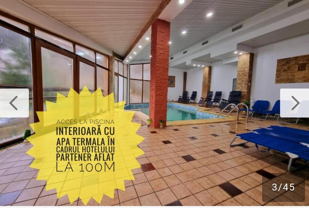 Pensiunea Alis Călimăneşti Exterior foto