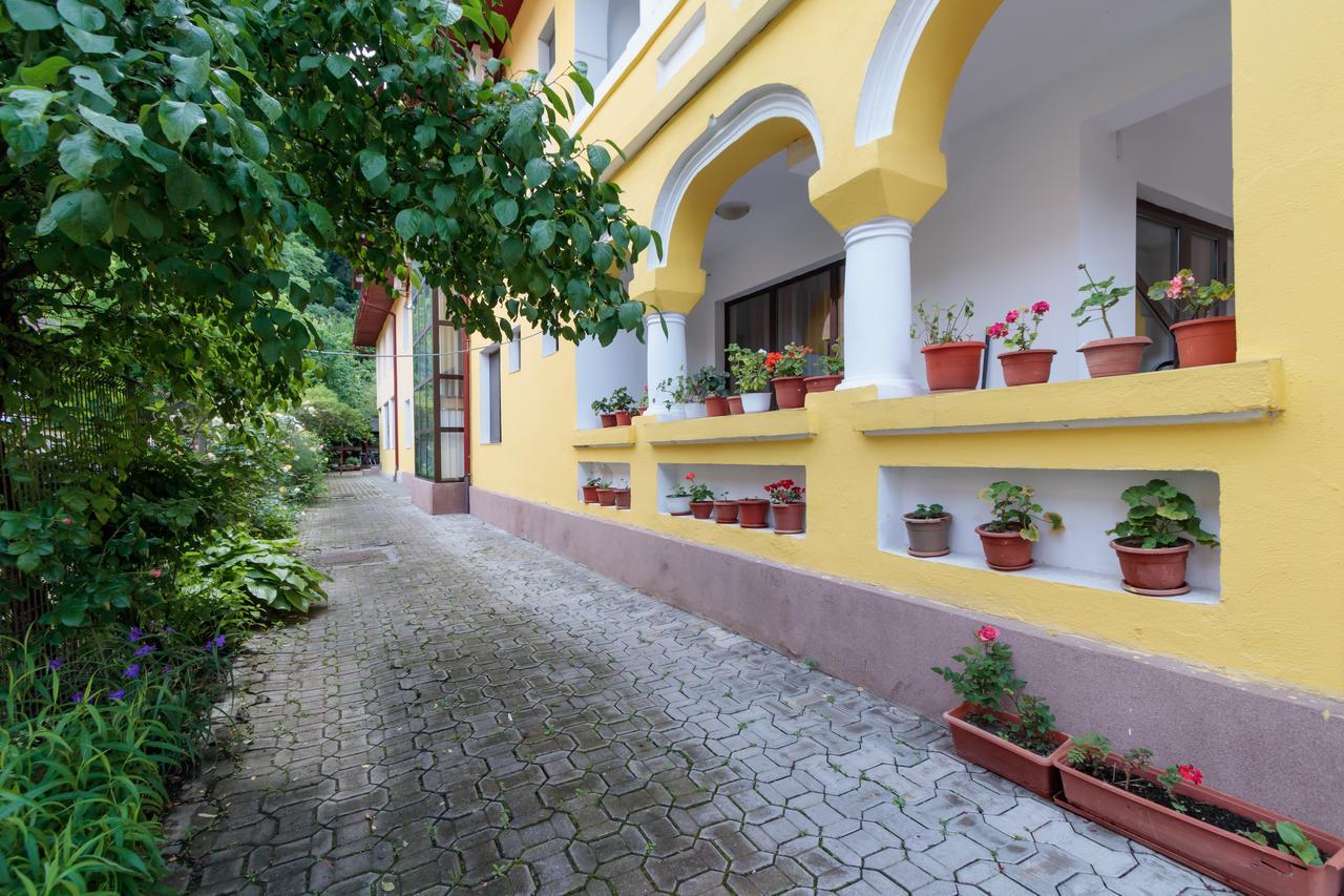 Pensiunea Alis Călimăneşti Exterior foto
