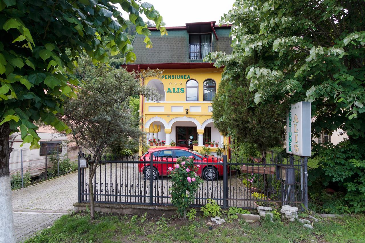Pensiunea Alis Călimăneşti Exterior foto